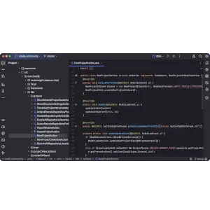 IntelliJ IDEA